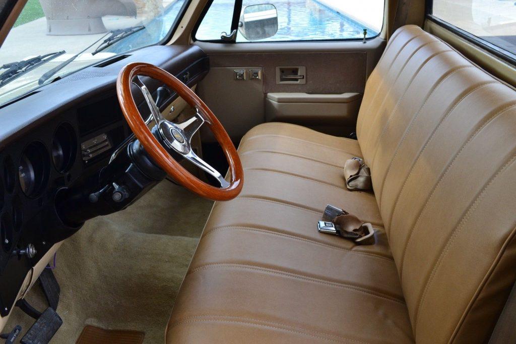 nice patina 1984 Chevrolet C 10 Dropped vintage